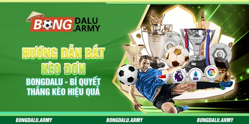Hướng dẫn bắt kèo đơn Bongdalu - Bí quyết thắng kèo hiệu quả