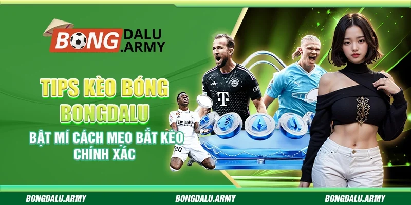 Tips kèo bóng Bongdalu - Bật mí cách mẹo bắt kèo chính xác