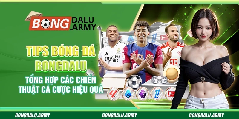 Tips bóng đá Bongdalu - Tổng hợp các chiến thuật cá cược hiệu quả