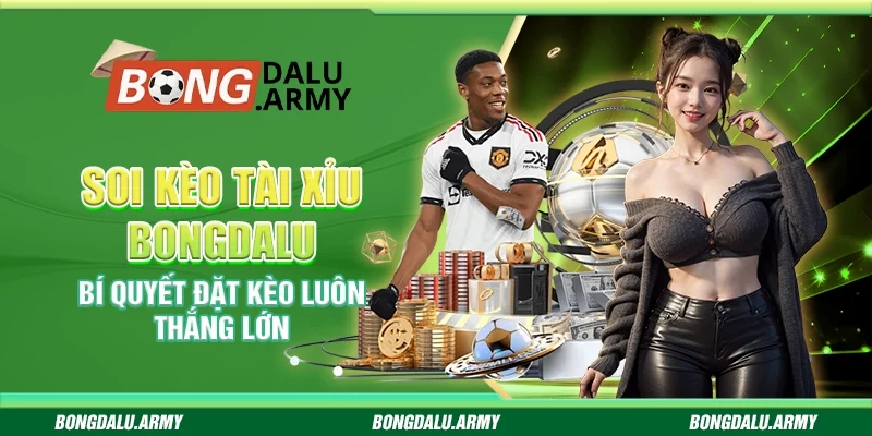 Soi kèo tài xỉu Bongdalu - Bí quyết đặt kèo luôn thắng lớn