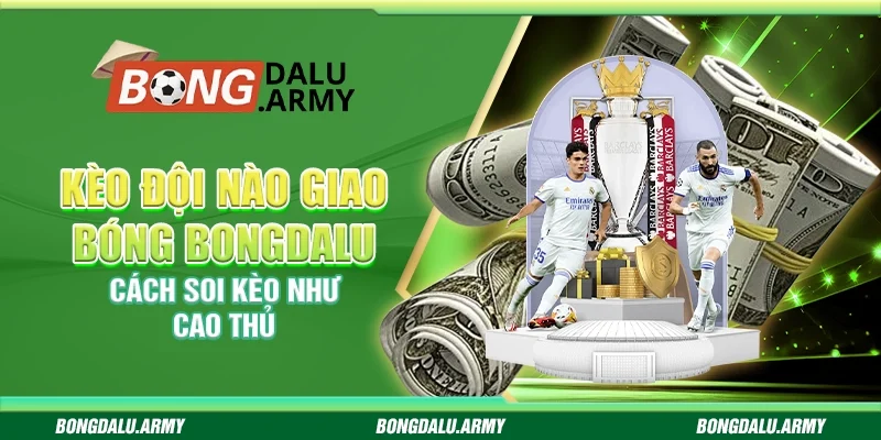 Kèo đội nào giao bóng Bongdalu - Cách soi kèo như cao thủ