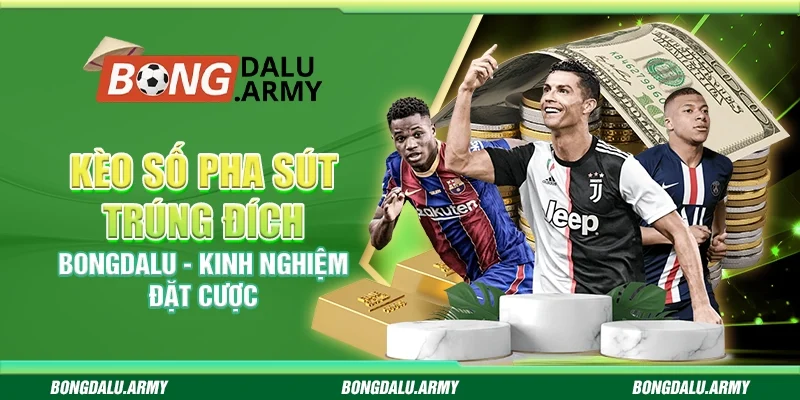 Kèo số pha sút trúng đích Bongdalu - Kinh nghiệm đặt cược