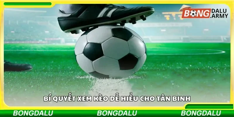 Bí kíp xem kèo dễ hiểu cho người mới chơi