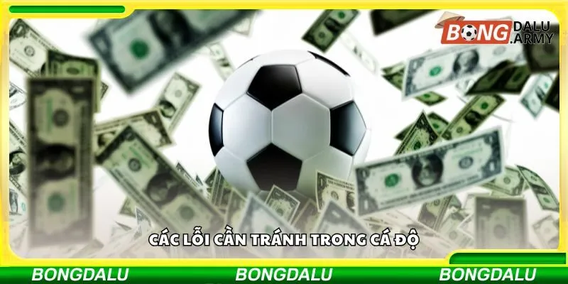 Các lỗi cần tránh trong cá độ