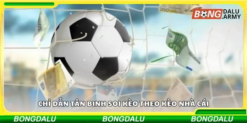 Chỉ dẫn tân binh soi kèo theo kèo nhà cái