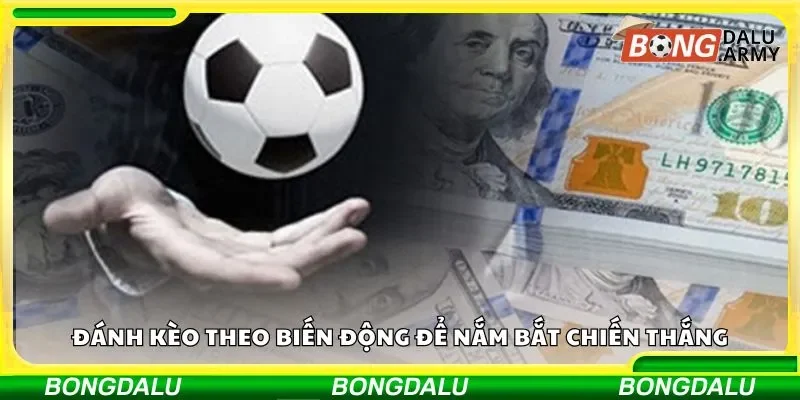 Đánh kèo theo biến động để nắm bắt chiến thắng