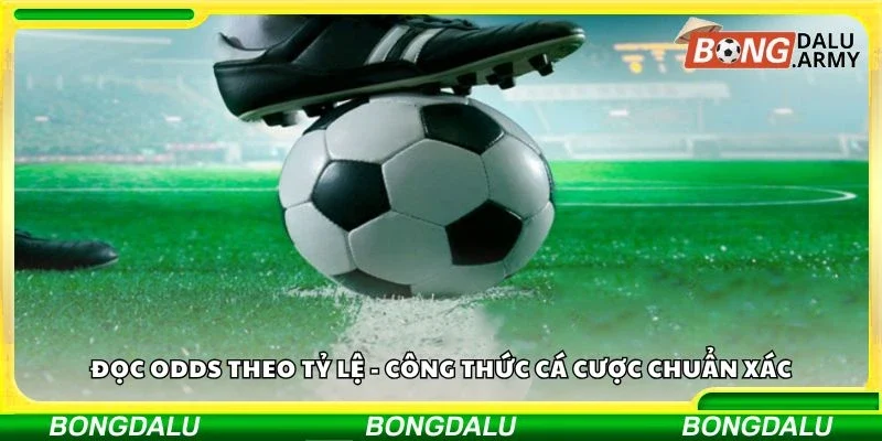 Đọc odds theo tỷ lệ - Công thức cá cược chuẩn xác