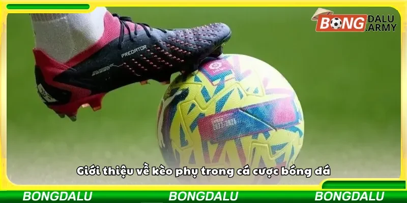 Tìm hiểu về kèo phụ trong cá cược bóng đá