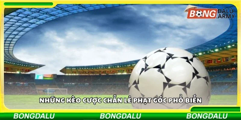 Những kèo cược chẵn lẻ phạt góc phổ biến