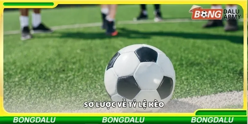Sơ lược về tỷ lệ kèo