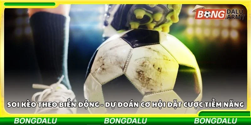 Soi kèo theo biến động - Dự đoán cơ hội đặt cược tiềm năng