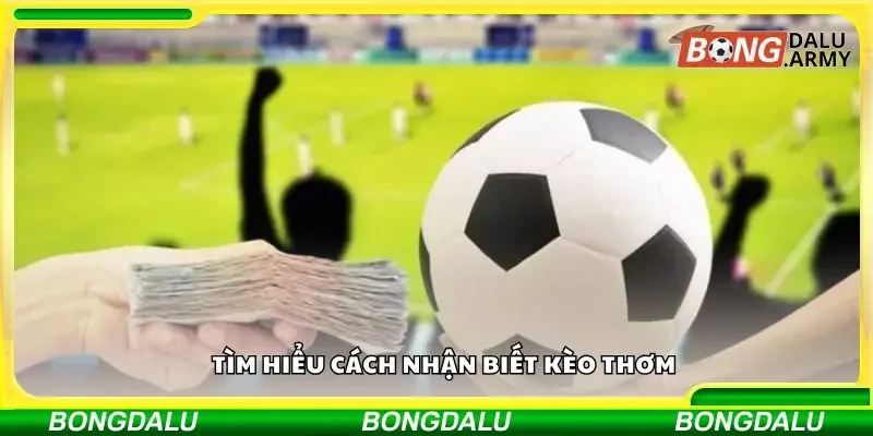 Tìm hiểu dấu hiệu của kèo thơm