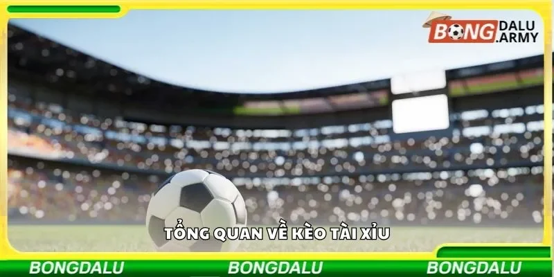 Tổng quan về kèo tài xỉu