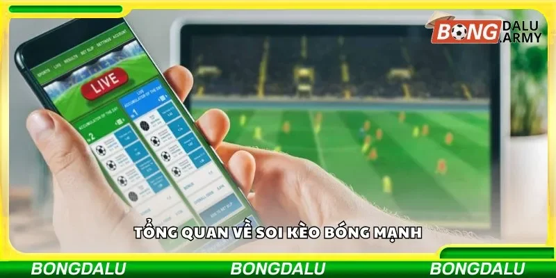 Tổng quan về soi kèo bóng mạnh